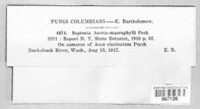 Image Associated With the Occurence